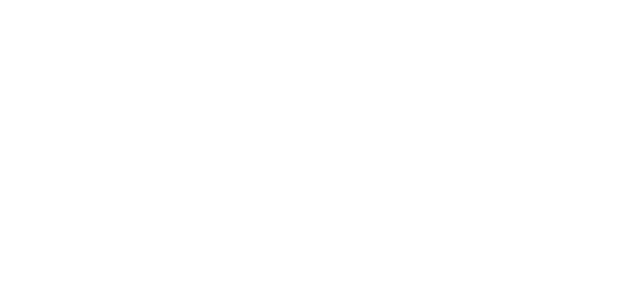 LOGO HEINEKEN